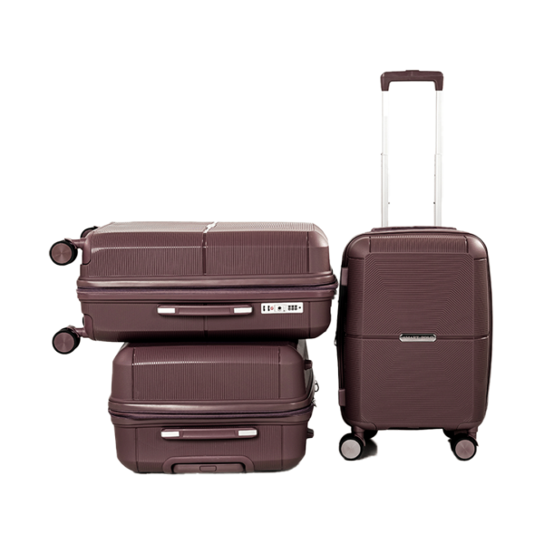 Smart Polo Luggage
